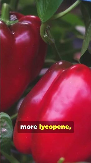 🫑 The Healthiest Bell Pepper Might Surprise You