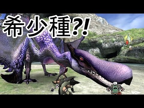 【モンスターハンター】 クルペッコ稀少種 【黒彩鳥】 討伐！