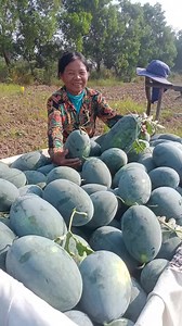 FB News Cambodia on Reels