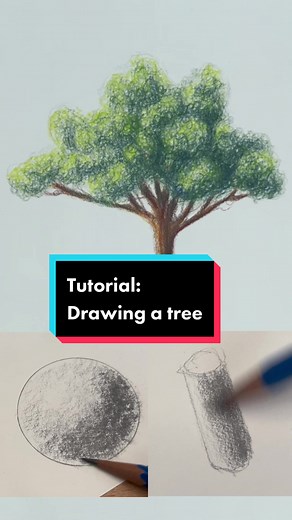 Tree Drawing: Colored Pencil Tutorial for Beginners