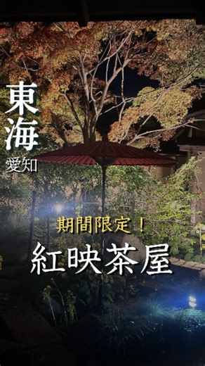 じゅん｜愛知旅行｜穴場・癒しスポット on Instagram: "東海市「聚楽園公園」と紅葉が見頃だよ✨ @aichi_kuruma_tabi ※2025.11.23撮影※ ◆聚楽園公園～もみじまつり2025 期間：2025年11月23日(日) ～12月7日(日) ライトアップ：17:00〜21:00 ★茶屋 ラストオーダー19：45 ※月曜定休 東海市・聚楽園公園の紅葉ライトアップ をご紹介🍁✨ 昭和天皇のご成婚を記念して建立された 高さ18mの大仏さまが 紅葉の海に静かに佇む幻想空間に🌕🍂 紅葉×大仏×水面に映るライトアップ ──まさに異世界トリップ級の景色がここに 仕事終わりのお散歩にもぴったり◎ 🍁ポイント ・池越しに撮ると映え度MAX📸 ・紅葉のピークは11月中旬〜下旬頃 ・周辺には足湯・カフェもあり、夜のプチ旅気分にもぴったり🧖‍♀️ ◆◆呈茶サービス◆◆ 茶室「嚶鳴庵」では 期間中は夜間も呈茶サービスが行われる ライトアップされた庭園を眺めながら 美味しいお抹茶を楽しめるよ 11月23日㈰～12月7日㈰ 10：00～20：30（ラストオーダー19：45） ※
