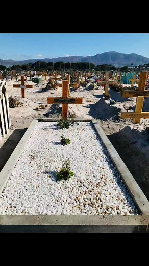 Michael Theunissen on Reels