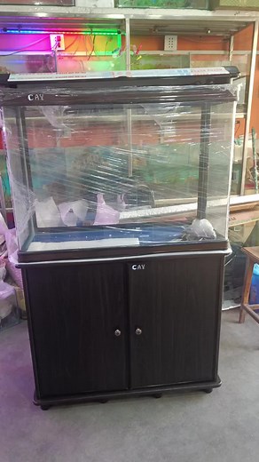 New Aquarium Center in Baneshwor | Setopul Location | Aquarium Accessories Available