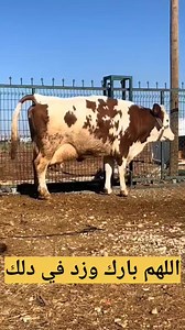 اللهم بارك ...🤲 #avag | زرع و كسب