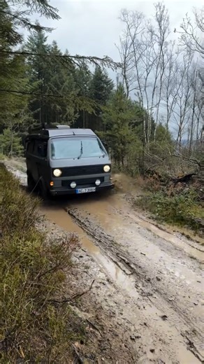 5.6K views · 39 reactions | Under a night sky full of stars or...