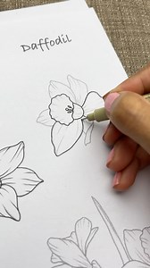 1.1K views · 560 reactions |  Printable pdf guides to draw flowers...