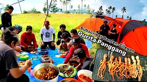 Octopus curry spicy for Lunch - Camping, Hunting & Cooking Octopus for Eating delicious | Daeng Lala