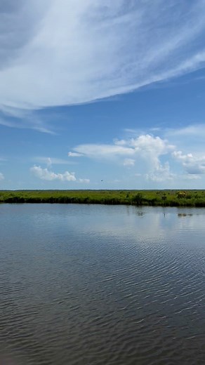 Alligator Egg Collection 2025!!! | Ronnie Adams from Swamp People