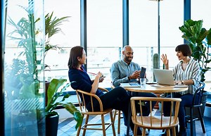 Top 5 Low-Maintenance Plants for Your Office | LoveToKnow