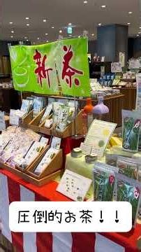 ふじのくに茶の都ミュージアム#静岡 #島田市 #お茶摘み体験