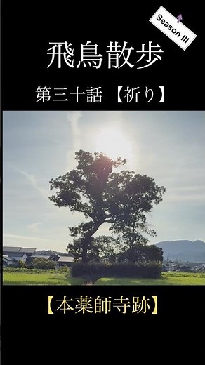 【ゆっくり飛鳥解説】 飛鳥散歩 第三十話 『祈り』 #shorts #観光 #世界遺産 #明日香村 #寺院