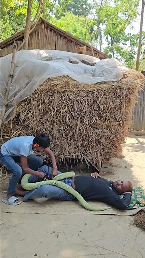 EPIC King Cobra Fake Snake Prank! | HILARIOUS Reactions!