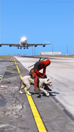 Lion With Spider Man Accidentally Coming Up Runway Airplane Landing Gta-5