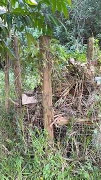 Composting Made Easy