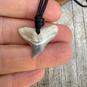 Shark Tooth Necklace - Etsy