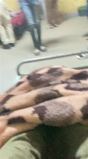 shukela jobe (@shukela.jobe3)’s videos with original sound - shukela jobe