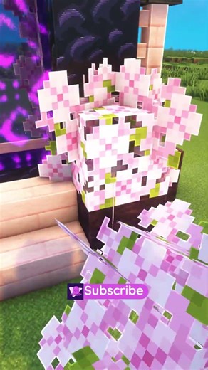 Minecraft Nether Portal #shorts