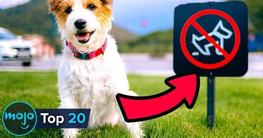 20 Illegal Things You've Done (at Least Once)  | Articles on WatchMojo.com