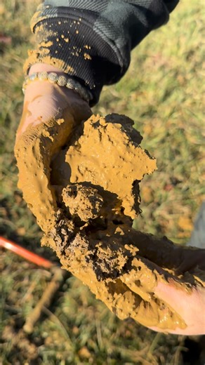 Tennessee Soil Science on Instagram: "When I have to tell people that they can’t get a septic due to a shallow fragipan, they look at me like I’m making up problems. The first few inches of a soil may be beautiful but if there is a hidden fragipan underneath the soil, it will not handle moving large amounts of water, or septic effluent. I took this video to demonstrate how a fragipan hinders water movement through the soil profile. At Tennessee Soil Science, we back up what we do through scienti