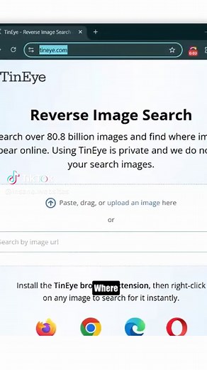 This Website Finds Any Image Online reverse image search, find stolen photos, track images online, underrated websites, image copyright, viral tools, AI image search, creators safety, online tracking, hidden websites #Websites #AItools #Internet #Creators #Viral