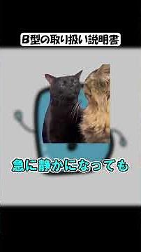 【血液型】B型の取り扱い説明書、想像以上にクセ強いwww🐱【猫ミーム】 #血液型あるある #ai #相性抜群