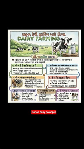New camp in banas dairy Palanpur
