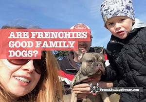 Are French Bulldogs Good Family Dogs? 10 Reasons Why!