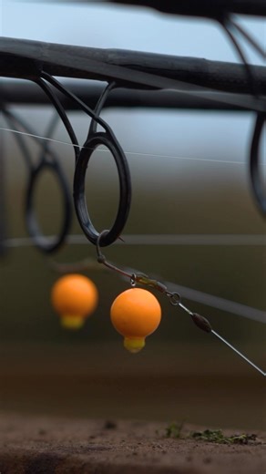 More cold water carp fishing tips courtesy of the main man himself, Oz Holness 🐋 #ThinkingAnglers #CarpFishing #KarpfenAngeln #FishingReel #BigCarp | Thinking Anglers