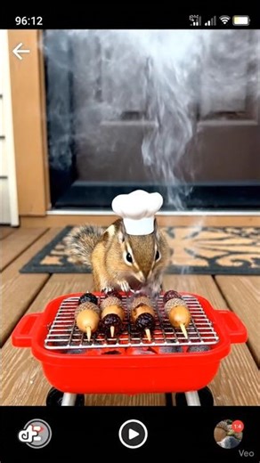 Chipmunk BBQ Master #funnypets #cutepets