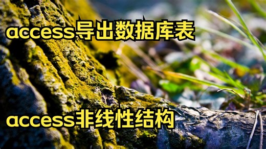 access导出数据库表结构 access非线性结构 acces