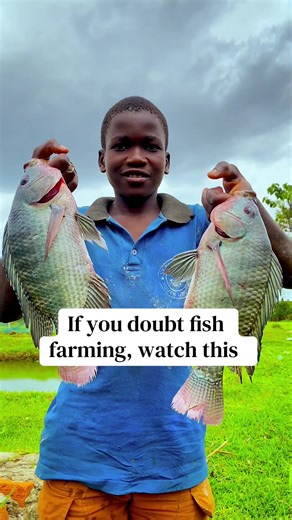 Watch This: Fish Farming Insights You Can't Miss