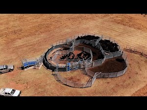 Game Changing Cattle Yards in Yaninee, South Australia