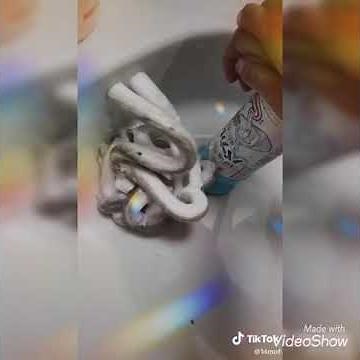 【TikTok】なんか気持ちいいバブルーンまとめ