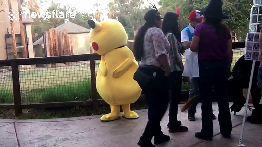 Pikachu 'dabs' at US zoo