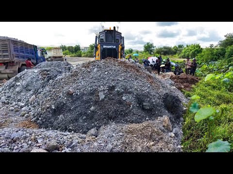 Best Operation Land Filling! DH17C3 Bulldozer & Truck | Bulldozer and Truck's First Day Mix Video