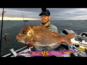 Snapper Fishing Challenge | Bait Vs Soft Plastics ( Who Wins? )