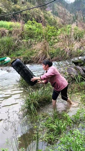 Big Basket Fish Catching 🎣 Amazing Traditional Fishing Method | Huge Catch! #fishingtutorial