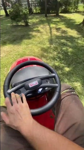 Rasenmähen mit dem Rasentraktor #sabo #rasenmähen #lawncare