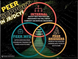 Peer Support Blend – Peer Services in Juvenile Rehabilitation