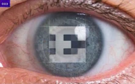 【Verge Science】测试人类视力的极限 [双语字幕]