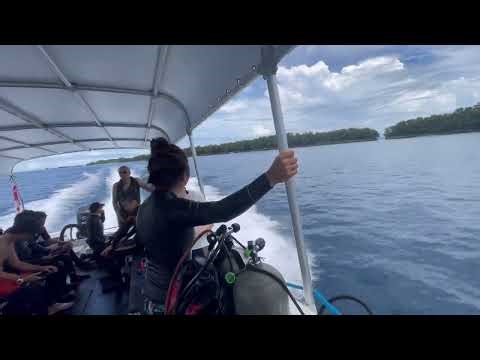 🇵🇼 Welcome to Palau