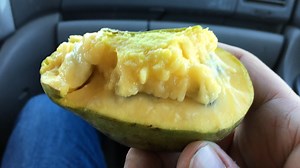 The Ontario fruit that sounds 'too mythical, too bizarre to be true'