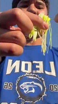 How to tie on a spinner bait #fishing #bassfishing