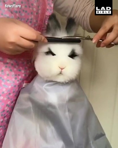 7.5M views · 61K reactions | 'My favourite customer'  | LADbible | Facebook