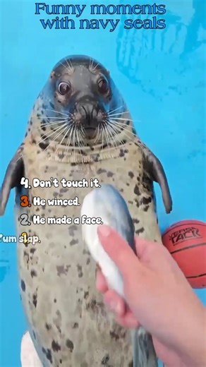 funny navy seals 🌊 #shortsvideo #navyseals #trending #funny