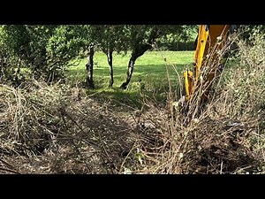 Big Al is clearing yet another overgrown 1700s cottage restoration