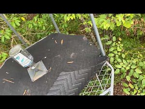 Game Winner 10 ft Tripod Hunting Stand added flooring