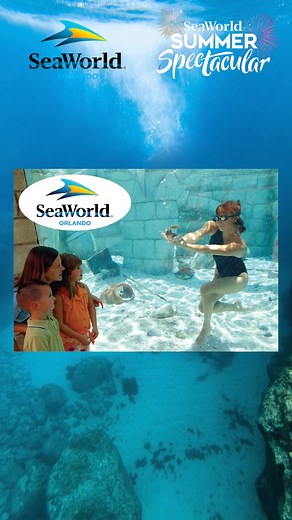 The crowd favorite pearl diving is back at SeaWorld Orlando during its Summer Spectacular which runs through September 4th! #PearlDiving #SeaWorldOrlando #SeaWorldNews #VisitOsceola | Positively Osceola | Facebook