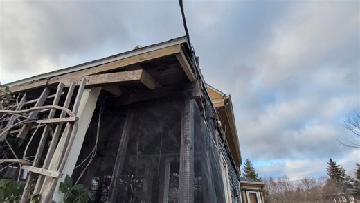 🐿️ this guy makes Diesel very happy ,he spends most of his day tracking him. | Cajun Creek Farm