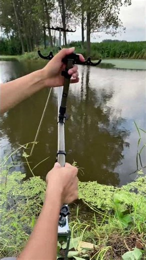 Gác 4-5 cây cần câu cùng lúc tiện lợi #fishing #fishingvideo